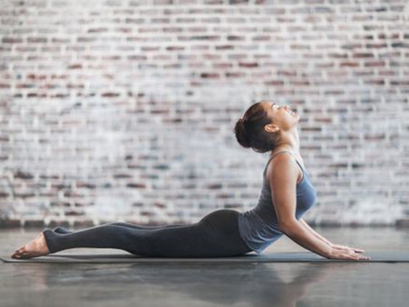 Il-pożi tal-yoga oriġinaw mill-imġieba tal-qtates3