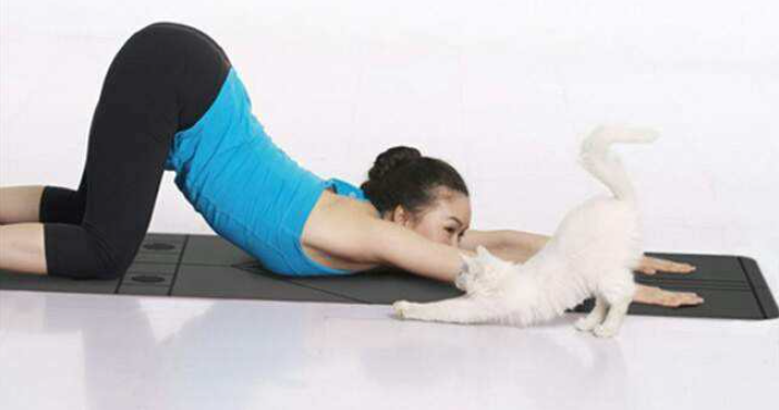 Ny pose yoga dia avy amin'ny fitondran-tenan'ny saka3