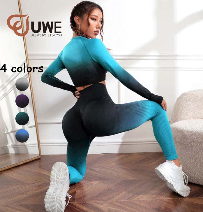 Yoga Set Seamless Ombre Workout Crop Top High Waist Leggings（289）