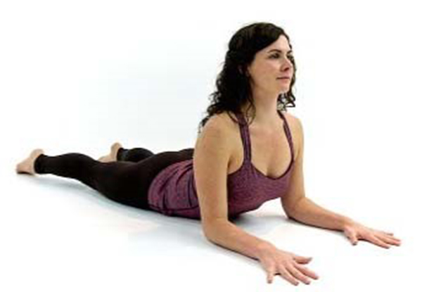 Exploring How Yoga Poses Transform Your Physical and Mental Well-being