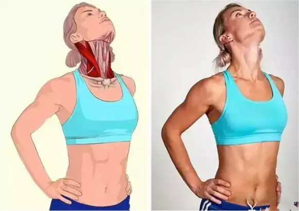 Yoga || 18 Anatomical Yoga Illustrations Demonstrate the Importance of Precise and Scientific Stretching! (Part One)